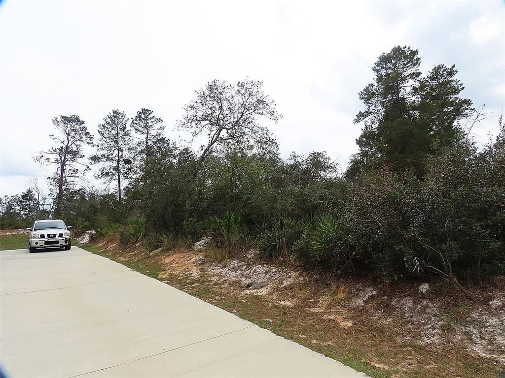 Photo of 71 Orchid Court, Kissimmee, FL 34759 (MLS # O6285113)