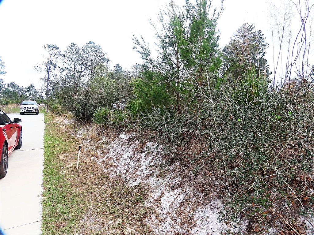 Photo of 71 Orchid Court, Kissimmee, FL 34759 (MLS # O6285113)