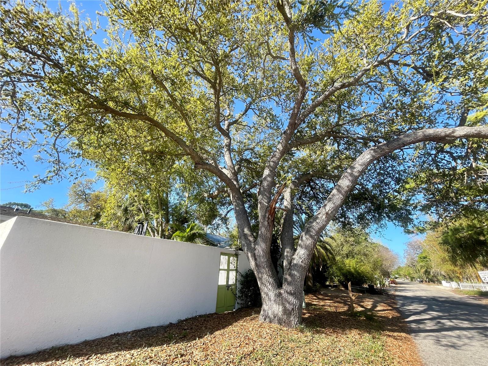 RUSTIC LODGE 2 - Residential