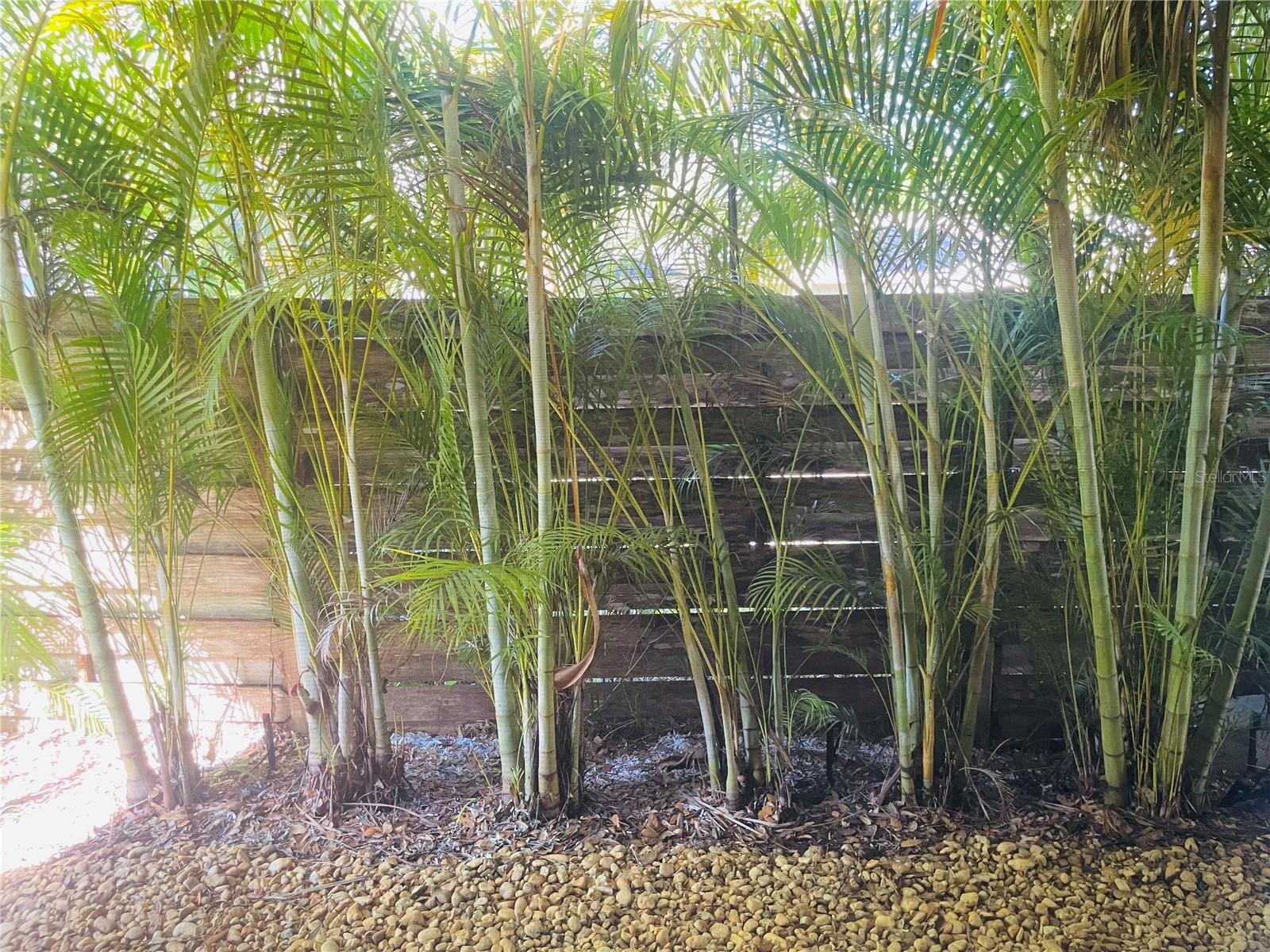 RUSTIC LODGE 2 - Residential