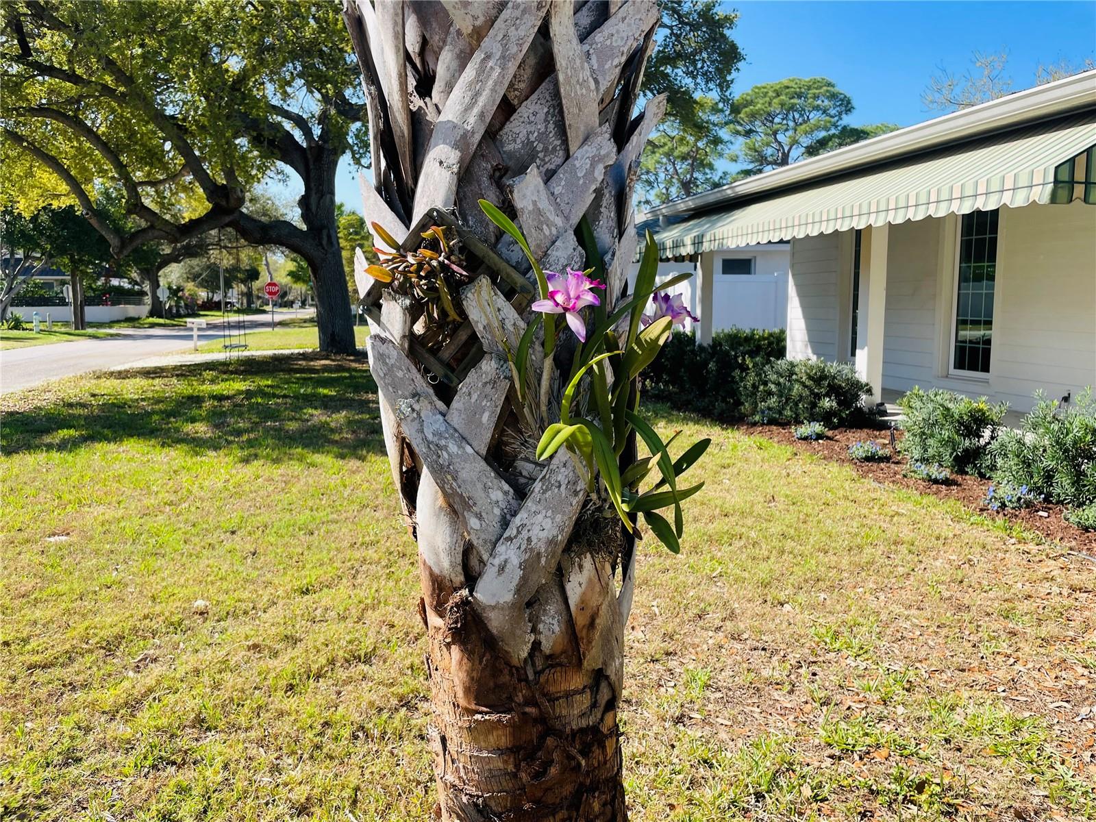 RUSTIC LODGE 2 - Residential