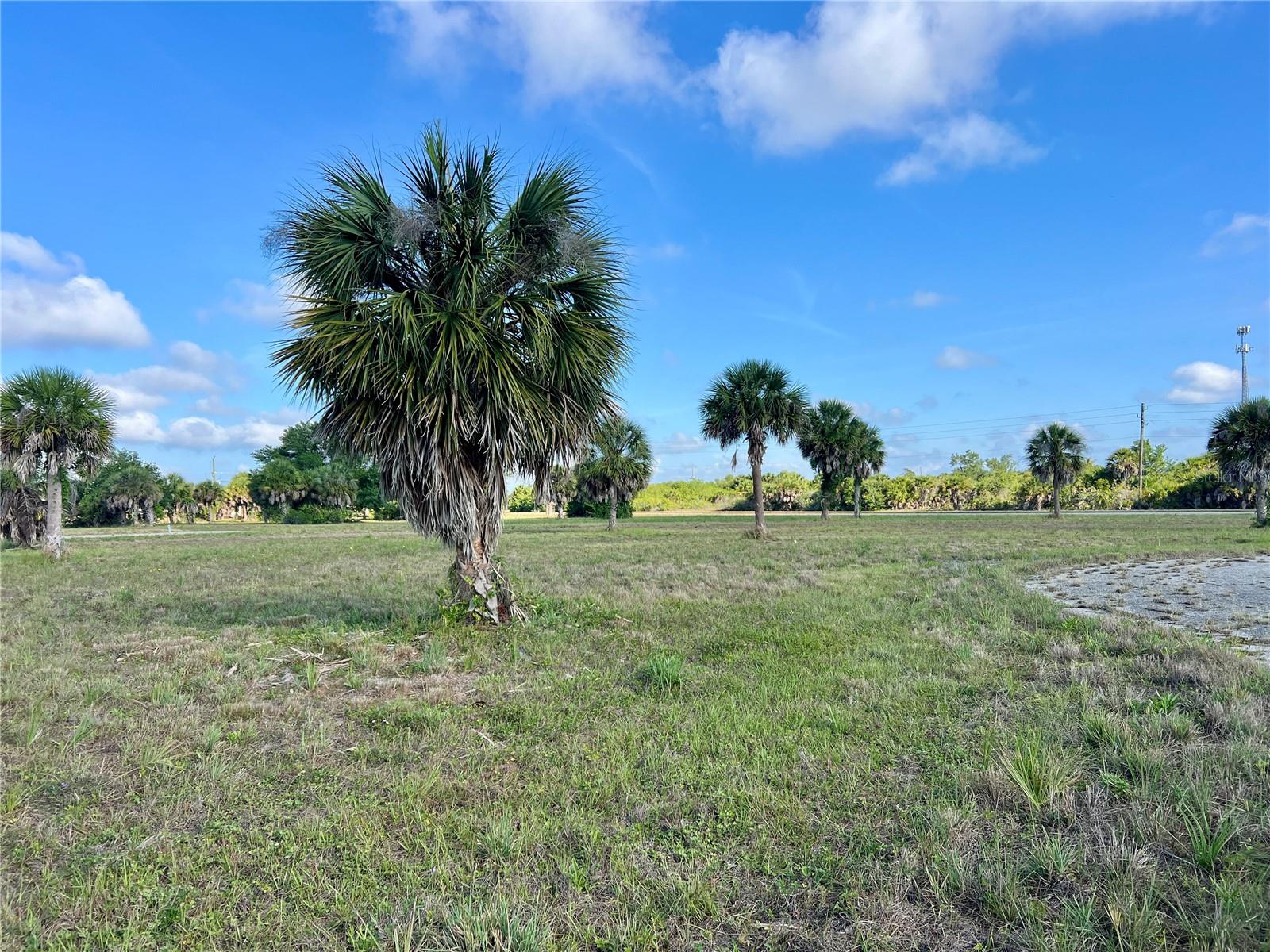 ROTONDA MEADOWS - Land