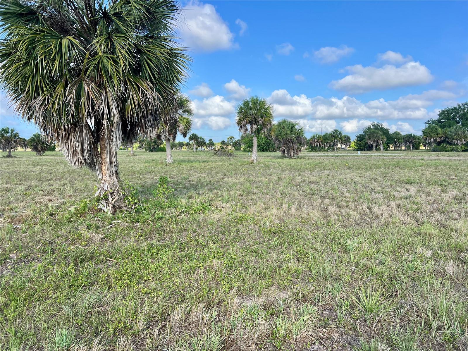 ROTONDA MEADOWS - Land