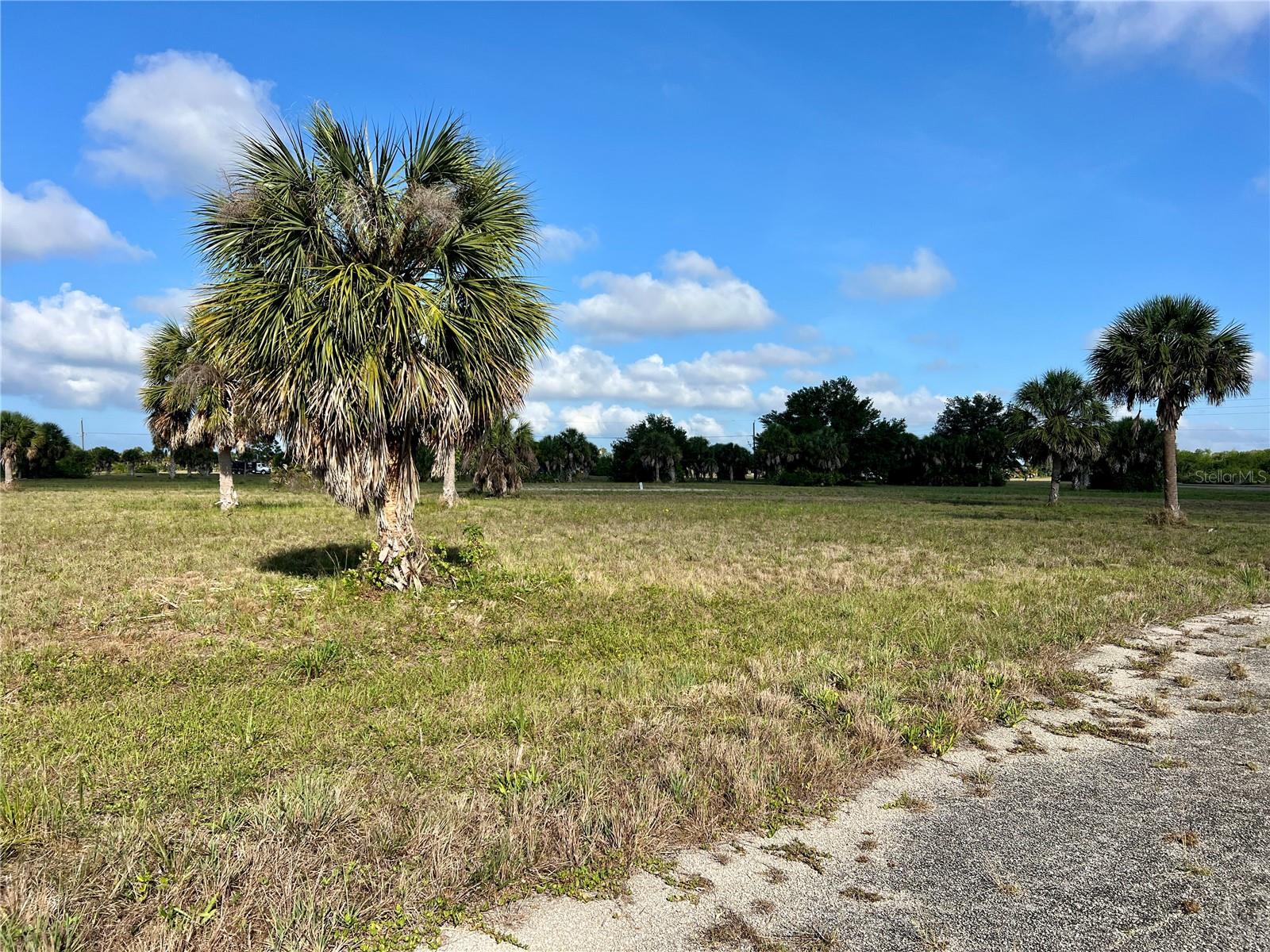 ROTONDA MEADOWS - Land