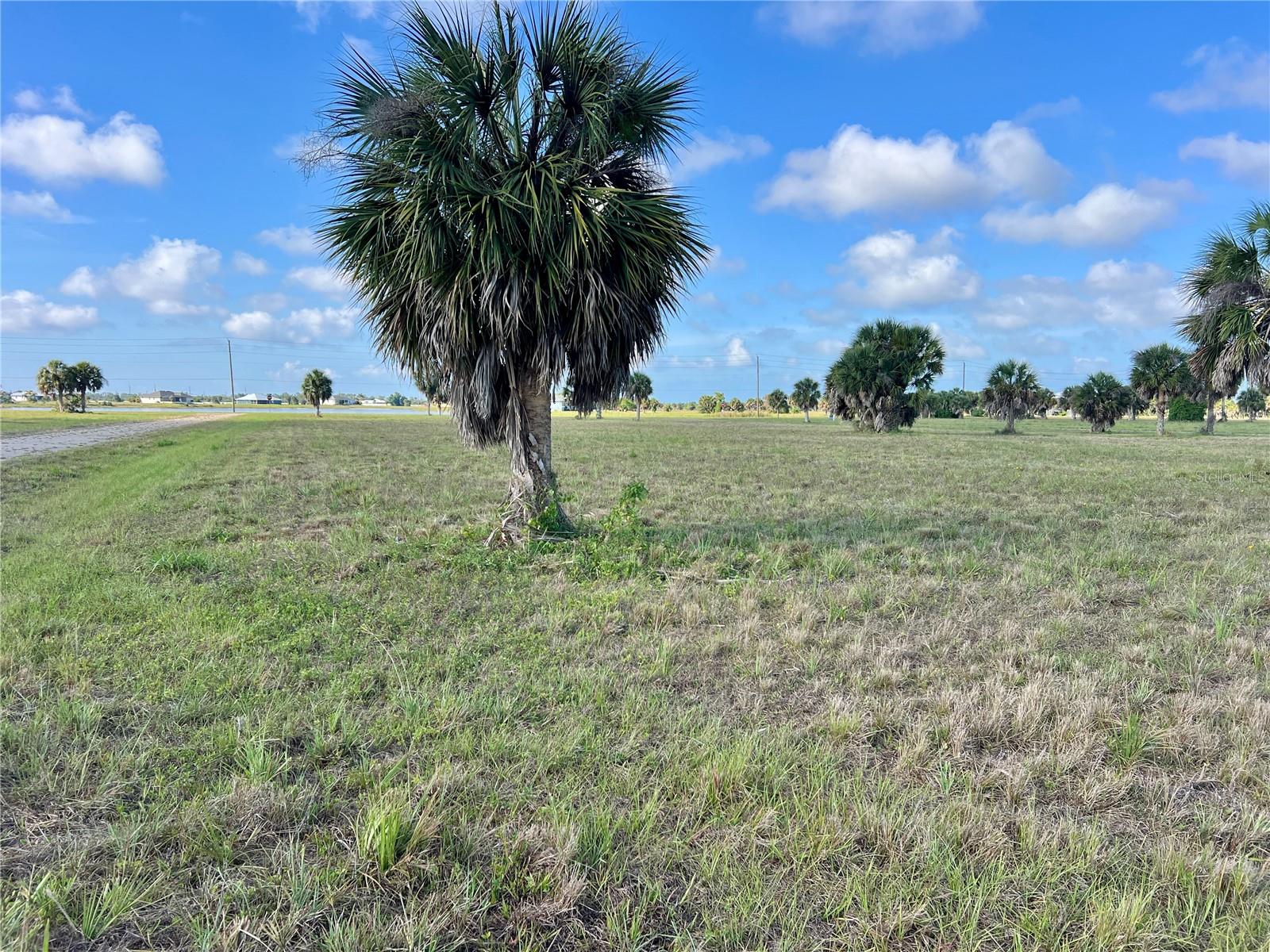 ROTONDA MEADOWS - Land