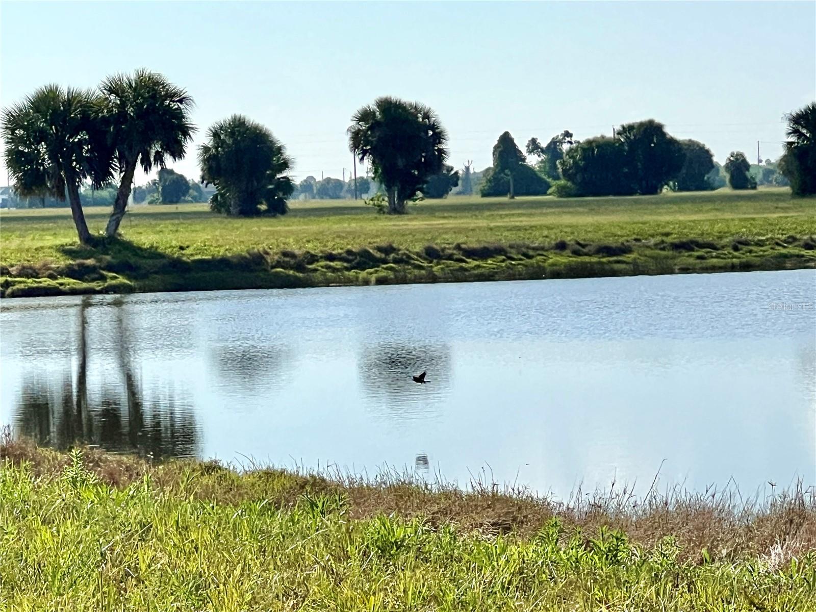 ROTONDA MEADOWS - Land