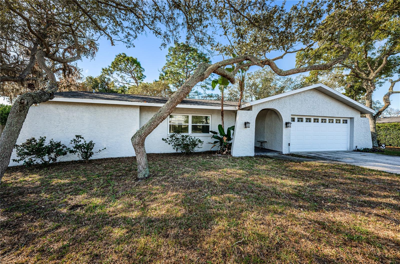 YOUNGS SUB DE LUXE - Residential