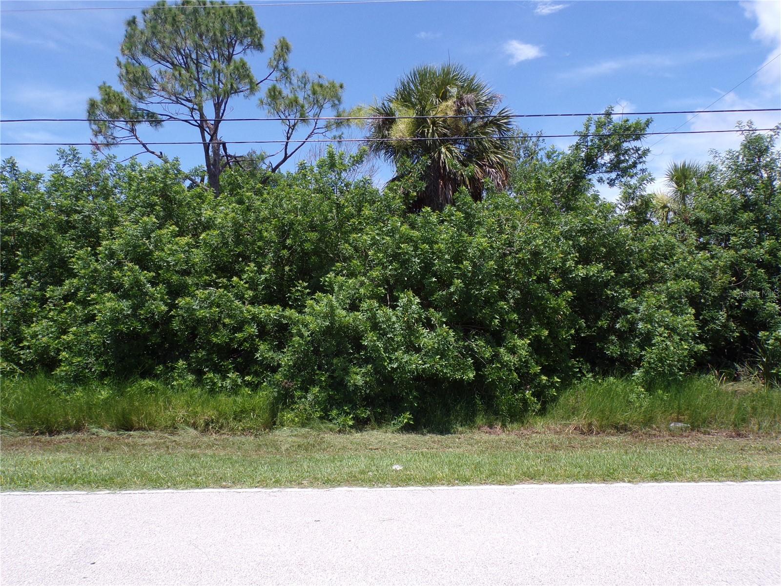 This lot is on a quiet street, that would be a great place to build your dream home and retire or raise your family. Just a short bike ride to downtown Punta Gorda Historic district and Saturdays Farmers Market. Less than 3.5 miles to I75 makes this location an easy commute to almost anywhere, and only 4 miles to Ponce De Leon Park with amazing sunsets, 10 miles to Port Charlotte Town Center and only 2 miles Punta Gorda Historic district and waterfront park with lots of shopping and dining options. Tampa Bay Rays spring training and the fairgrounds are just minutes away, also multiple golf courses and some of the best boating and fishing in all of Florida. Red Soxs, Orioles, Twins and Braves spring training all within an hour’s drive. Buyer and buyers’ reps are responsible for determining environmental conditions and endangered species restrictions. This lot is priced to sell so please call for availability! This lot is at a great price point for the investor call today.