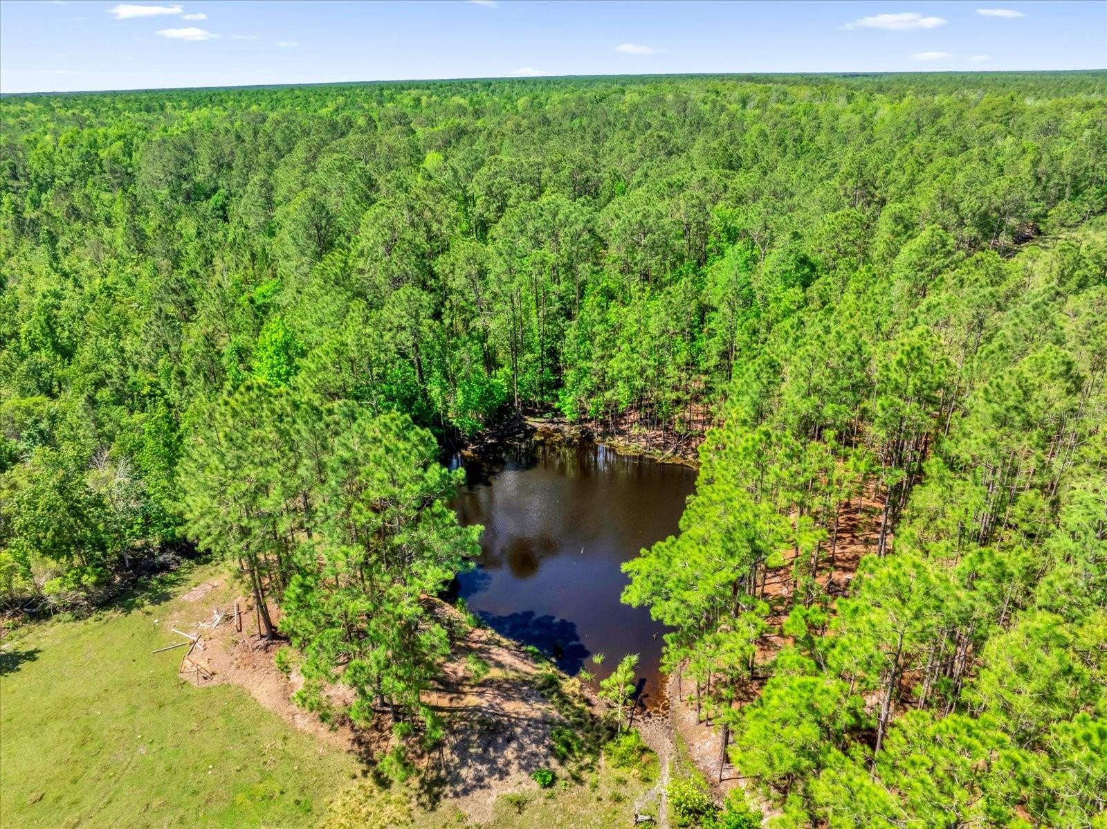 ACREAGE - Land