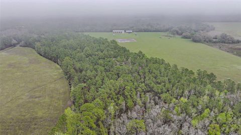 Tiny photo for 0000 Alligator Road, Clermont, FL 34714 (MLS # L4951025)