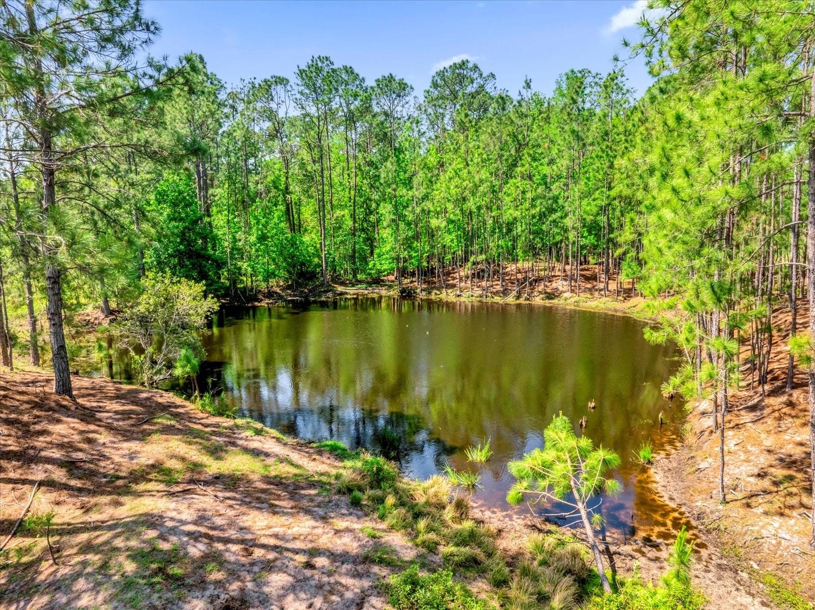 ACREAGE - Land