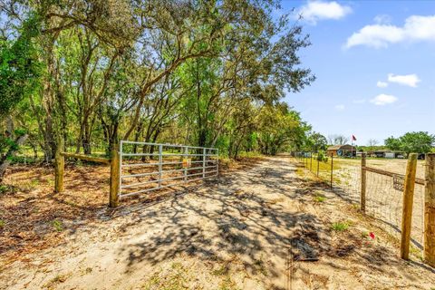 Tiny photo for 0000 Alligator Road, Clermont, FL 34714 (MLS # L4951025)