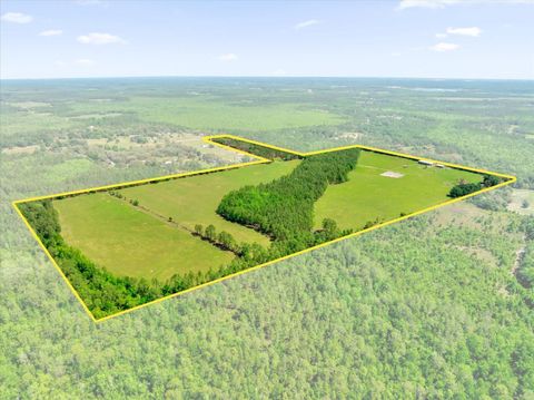 Tiny photo for 0000 Alligator Road, Clermont, FL 34714 (MLS # L4951025)