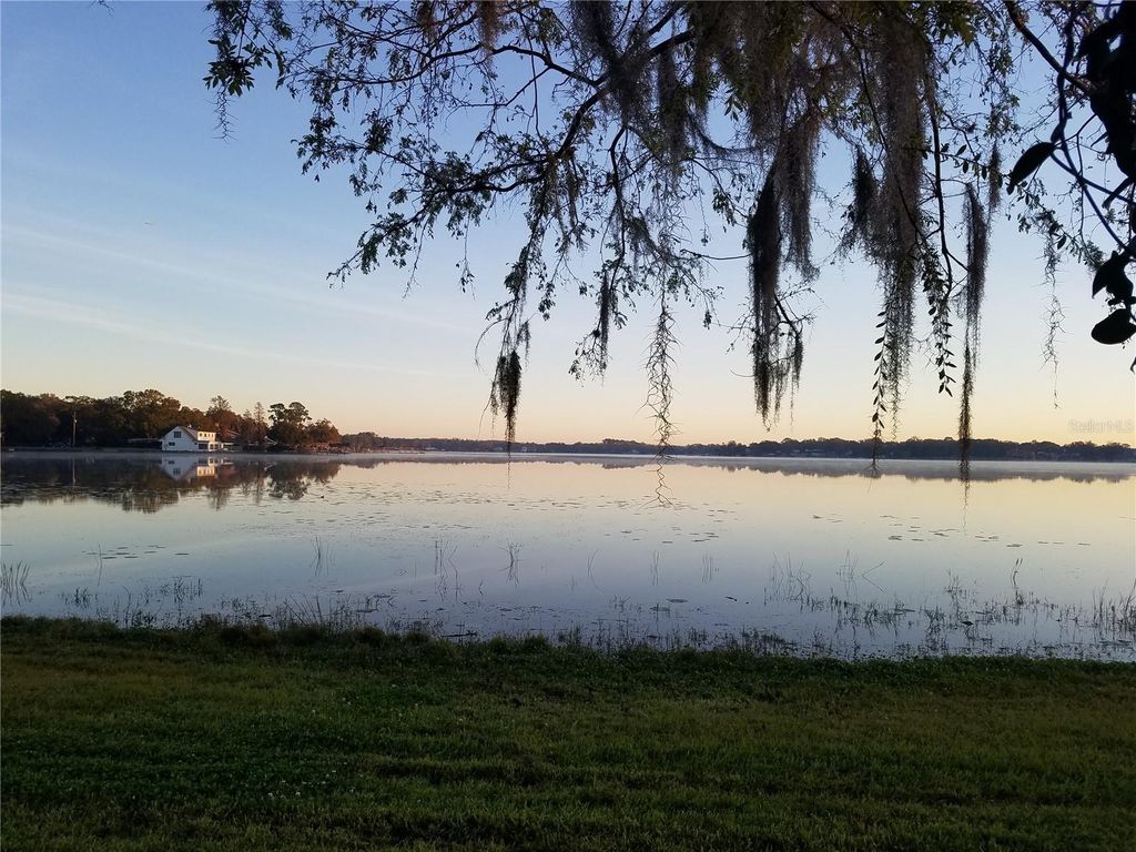 Photo of 13734 Orange Sunset Drive, Tampa, FL 33618 (MLS # TB8432543)