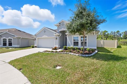 Photo of 10219 Cross Timber Terrace, Land O Lakes, FL 34638 (MLS # TB8427612)