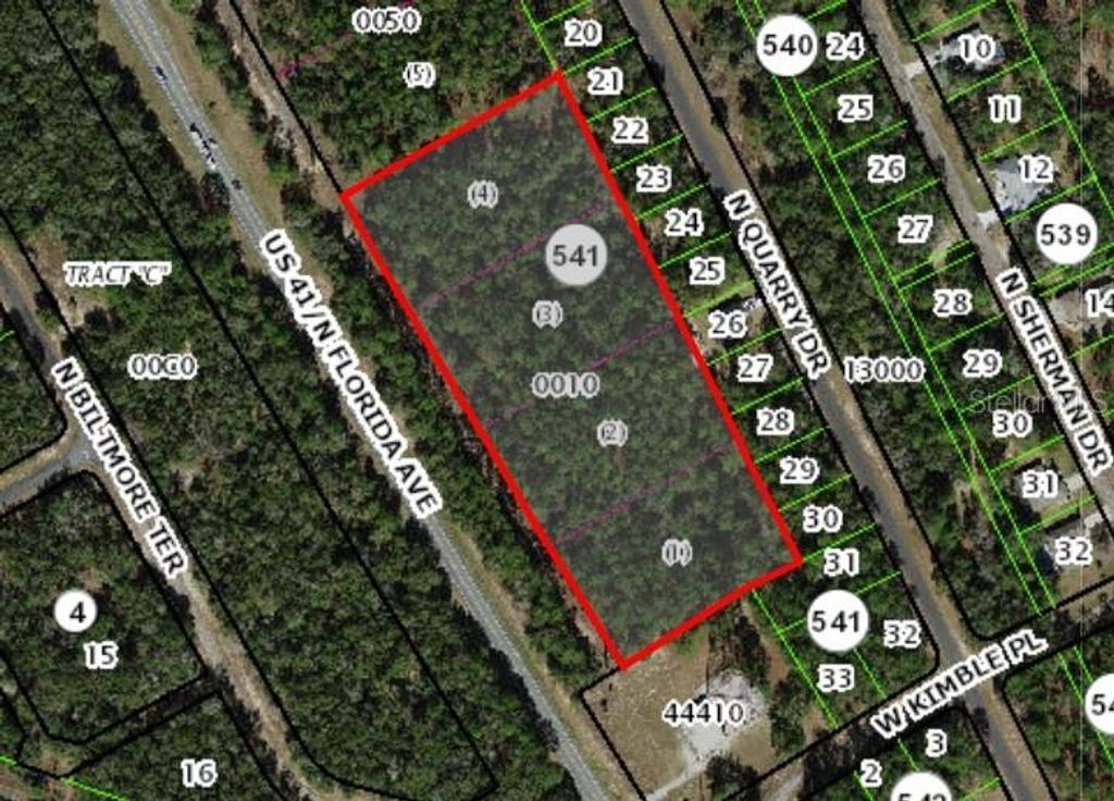 Photo of 9991 N Florida Avenue, Citrus Springs, FL 34434 (MLS # OM713106)