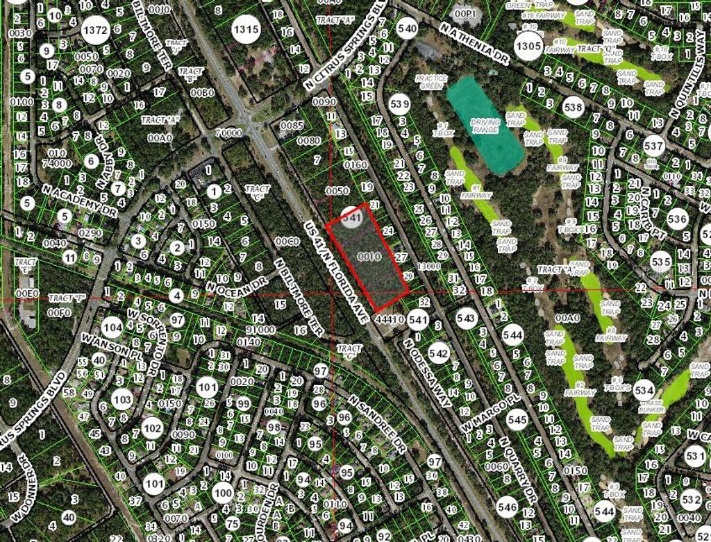 Photo of 9991 N Florida Avenue, Citrus Springs, FL 34434 (MLS # OM713106)