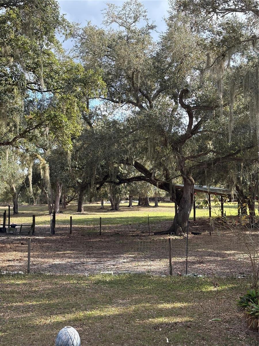 GENES LITTLE ACRES 53 01STADD - Residential