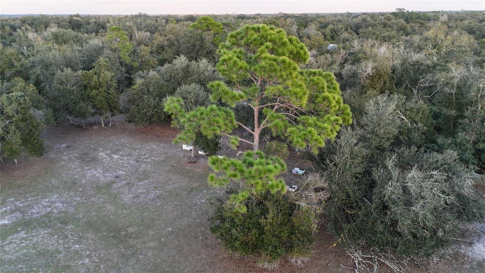 GENES LITTLE ACRES 53 01STADD - Residential