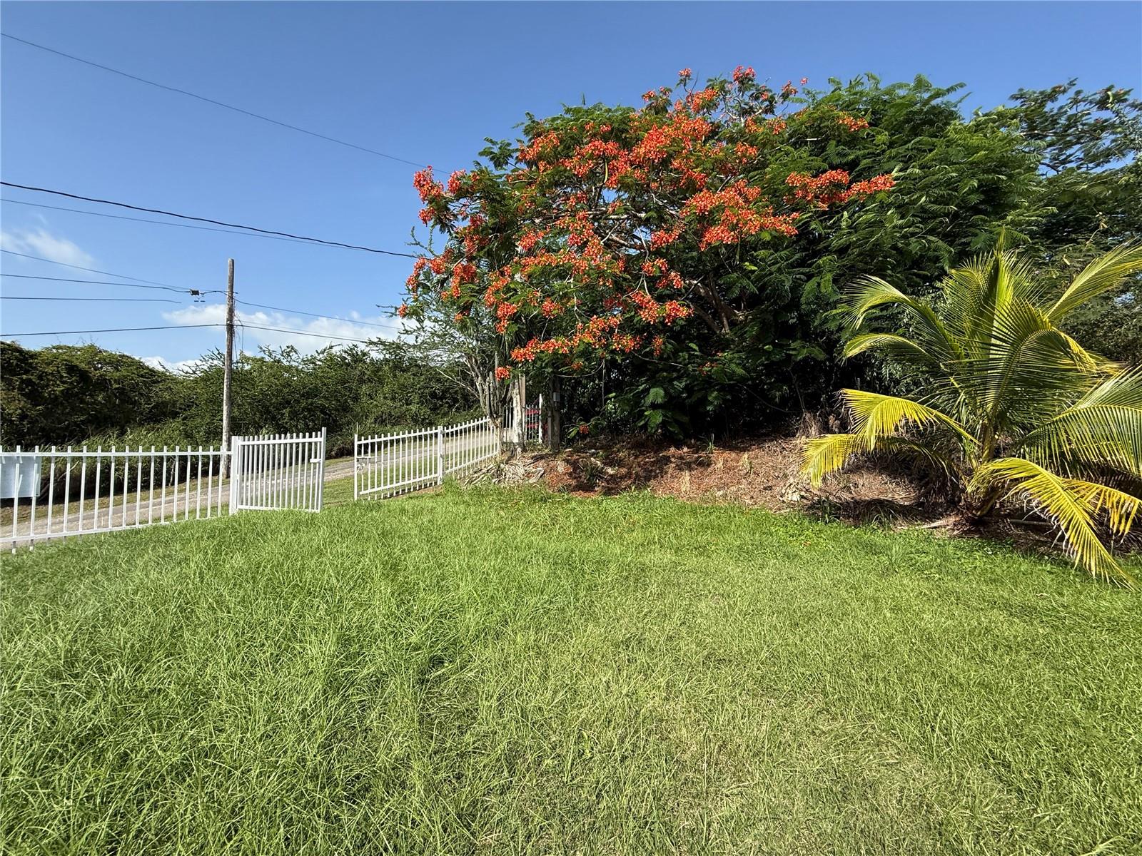 BOQUERON WARD - Residential