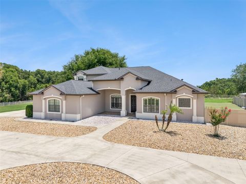 Tiny photo for 19850 Sugarloaf Mountain Road, Clermont, FL 34715 (MLS # O6412516)