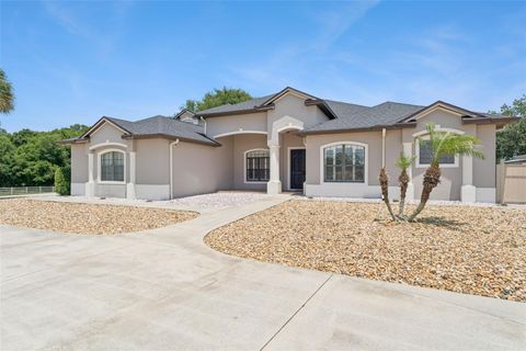 Tiny photo for 19850 Sugarloaf Mountain Road, Clermont, FL 34715 (MLS # O6412516)