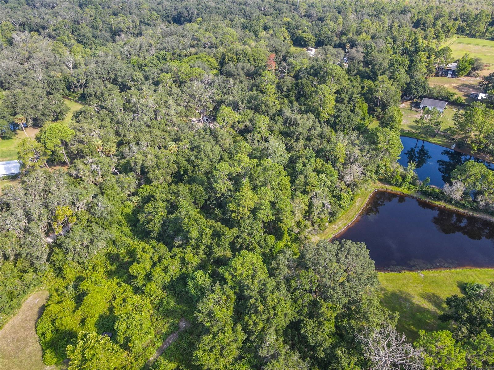 W 01/2 SW 01/4 11 19 31 - Land