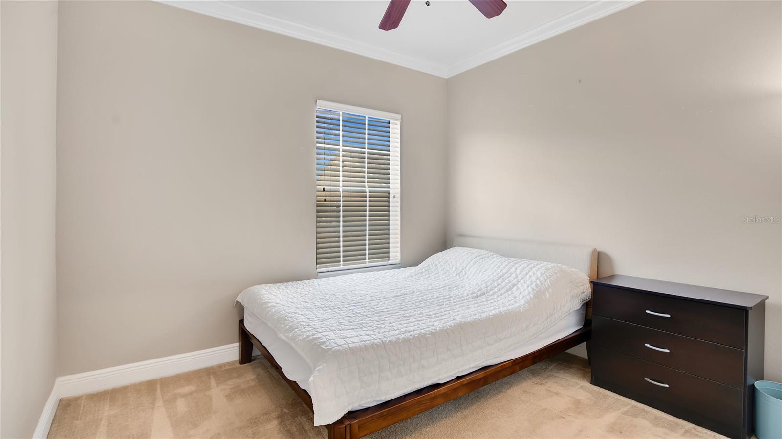 TIMACUAN PARK - Residential