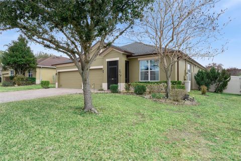 Photo of 9344 Ivywood Street, Clermont, FL 34711 (MLS # G5108402)