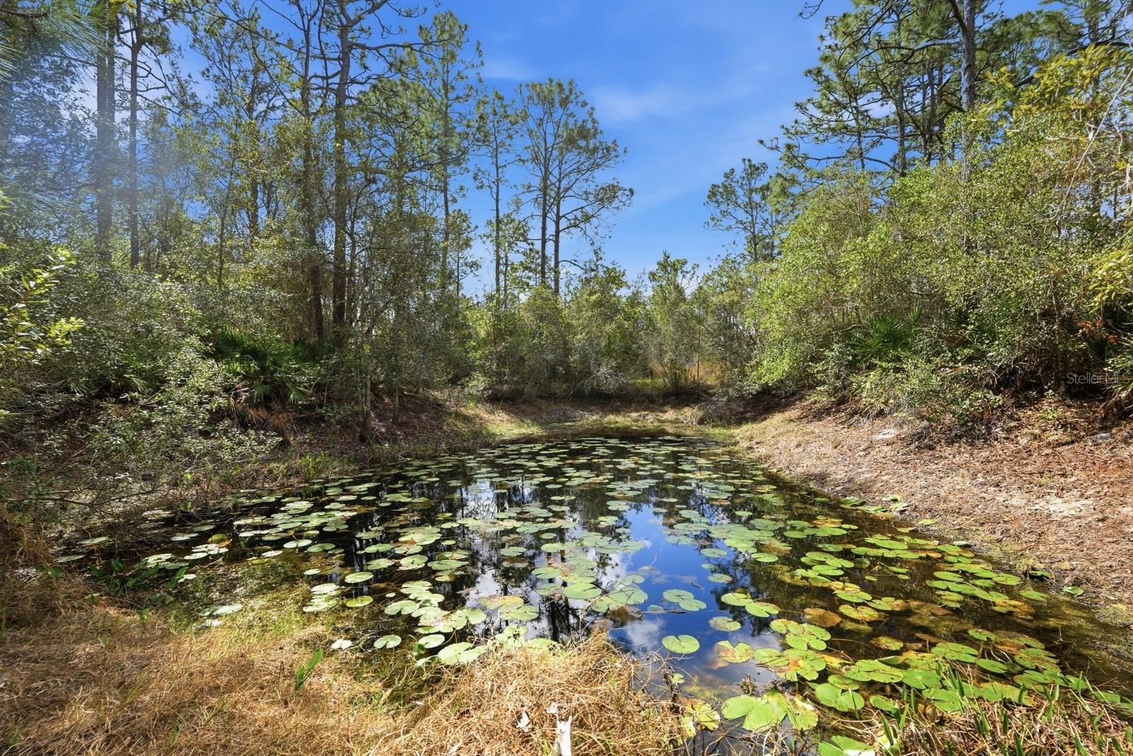 RIMA RIDGE RANCHETTES - Residential