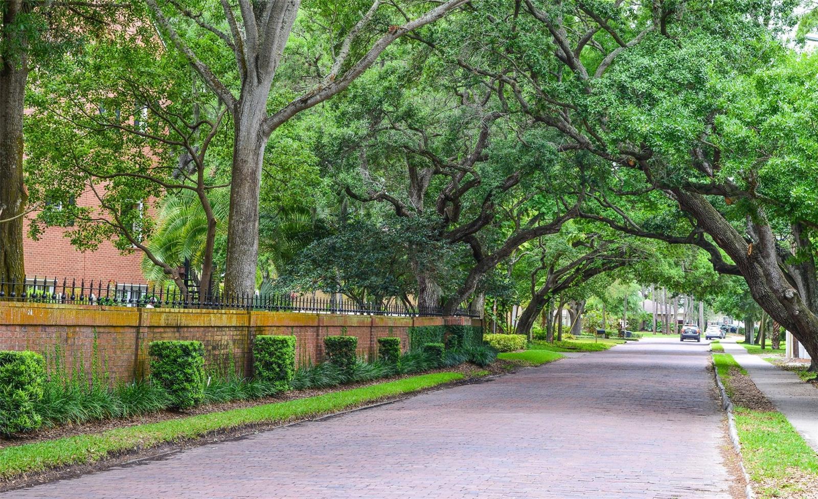 CRESCENT PLACE CONDO - Residential