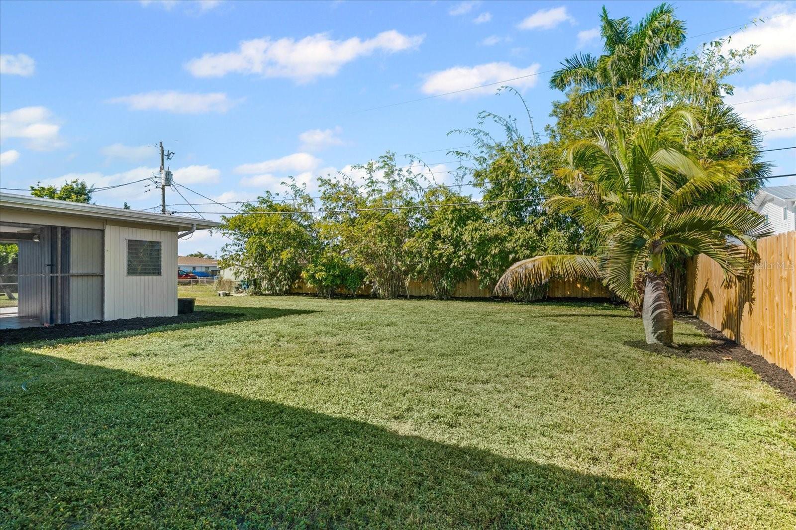 PALMETTO POINT - Residential