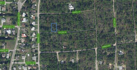208 COLEEN LANE LAKE PLACID FL 33852