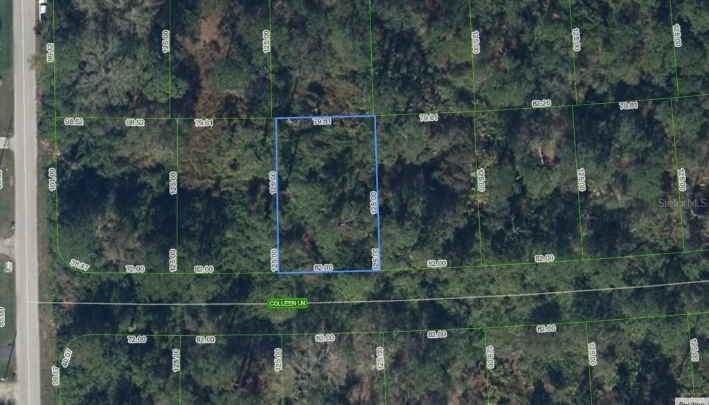 Photo of 208 Coleen Lane, Lake Placid, FL 33852 (MLS # L4957597)