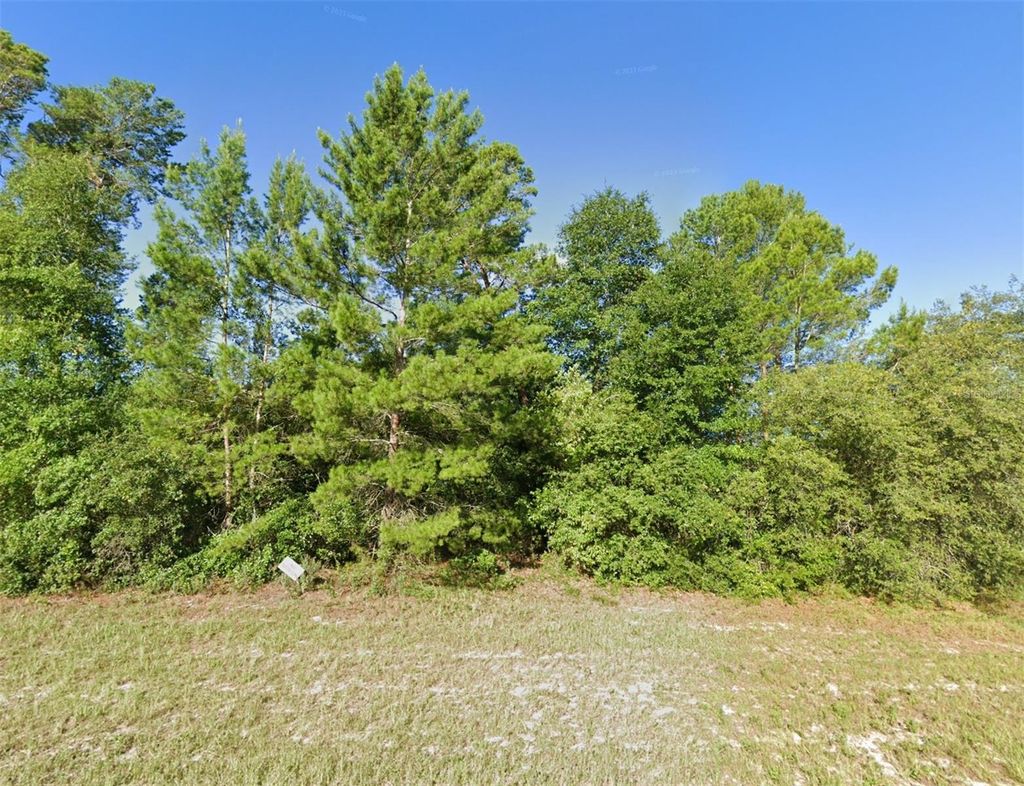 Photo of SW 29th Avenue Road, Ocala, FL 34473 (MLS # O6373151)