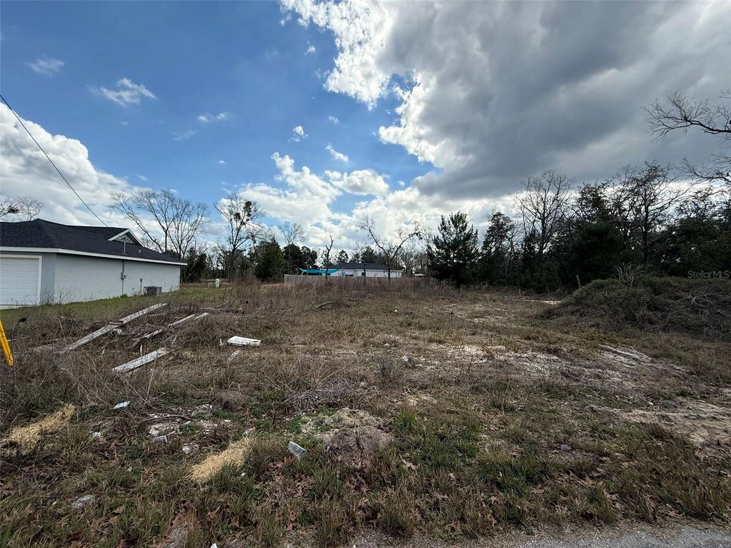 Photo of 41 Fisher Lane Track, Ocklawaha, FL 32179 (MLS # O6368732)
