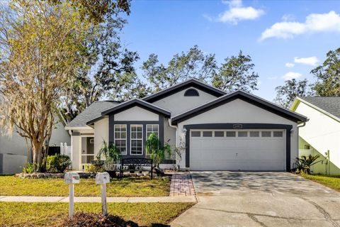 A home in VALRICO