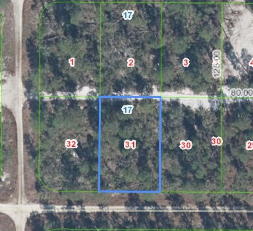 Land for sale in Sebring Hills, super secluded! Be the 1st one to build or buy and hold for investment.  The possibilities are endless, check it out!