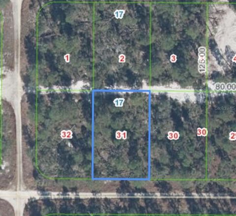 556 PARAKEET AVENUE SEBRING FL 33872