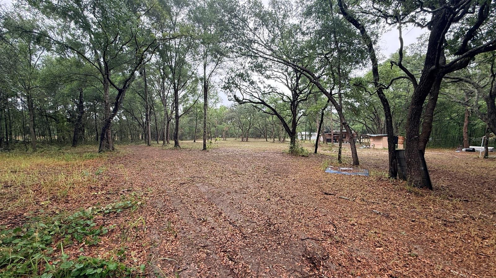 HIGHLAND FOREST 241 - Residential