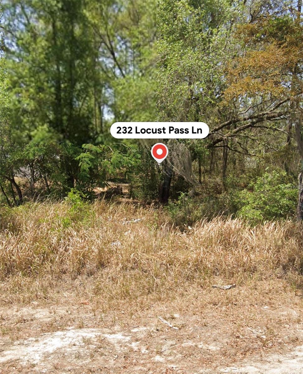 232 LOCUST PASS LANE