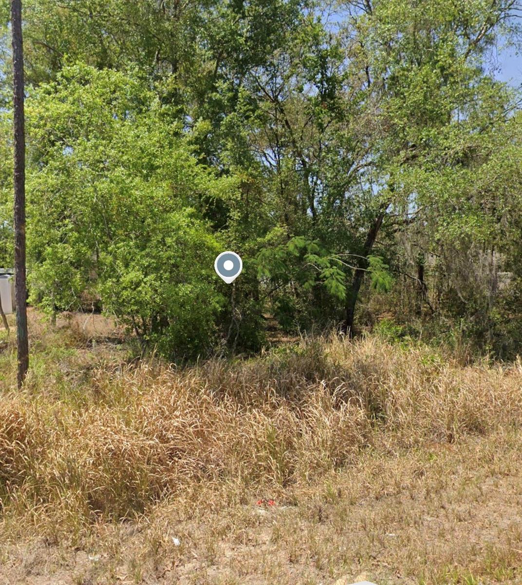 232 LOCUST PASS LANE