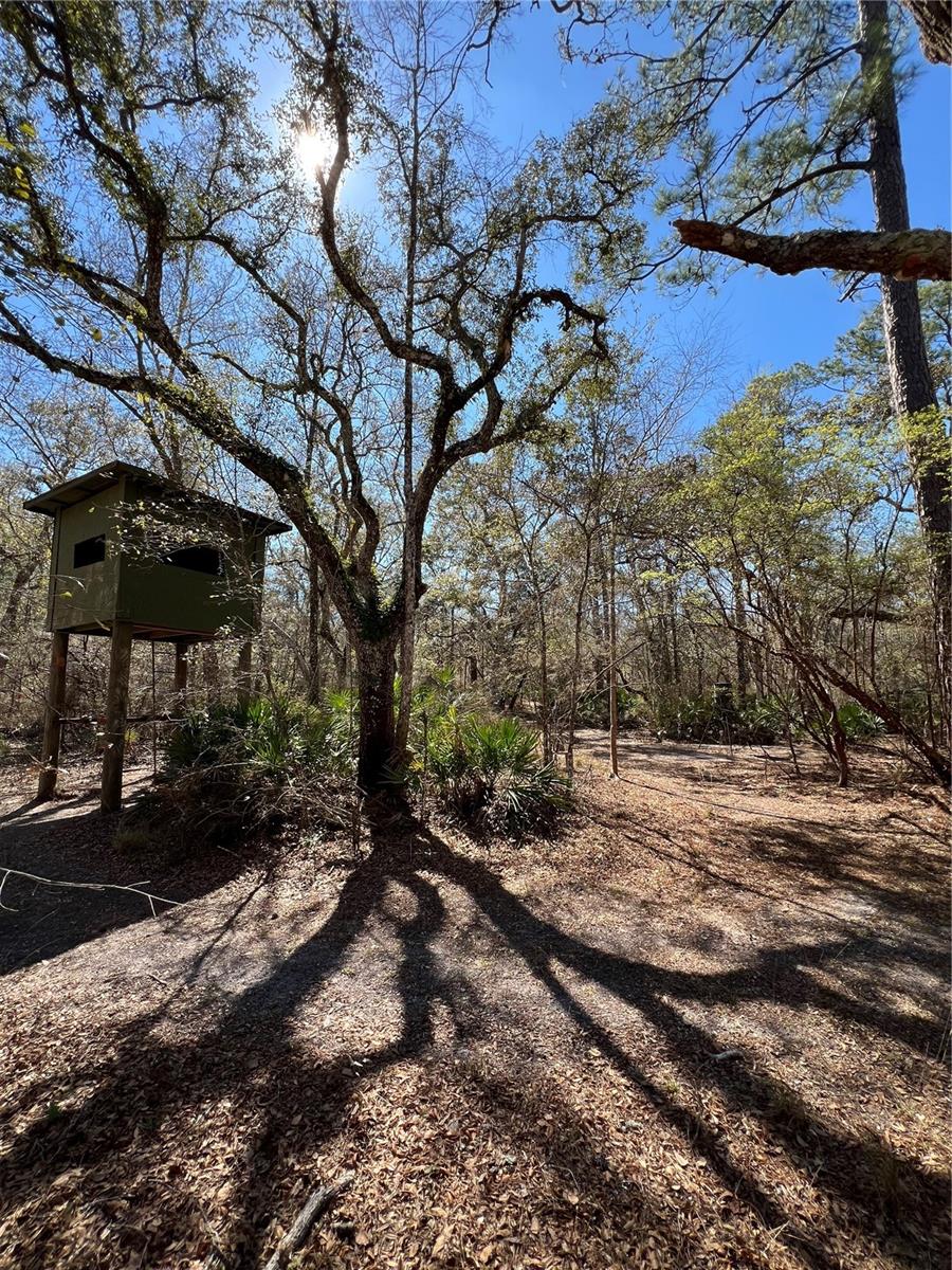 MAJESTIC SUWANNEE RIV OAKS - Land