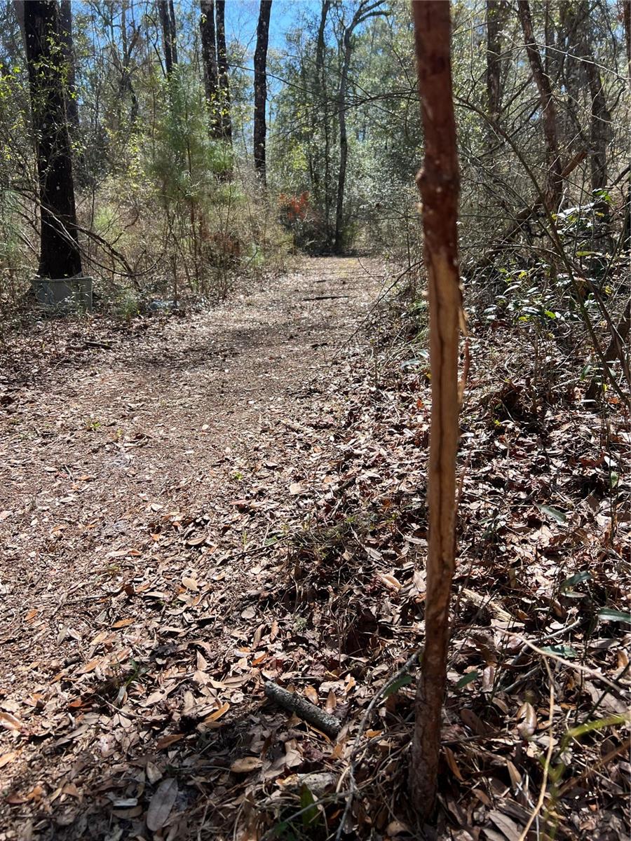 MAJESTIC SUWANNEE RIV OAKS - Land