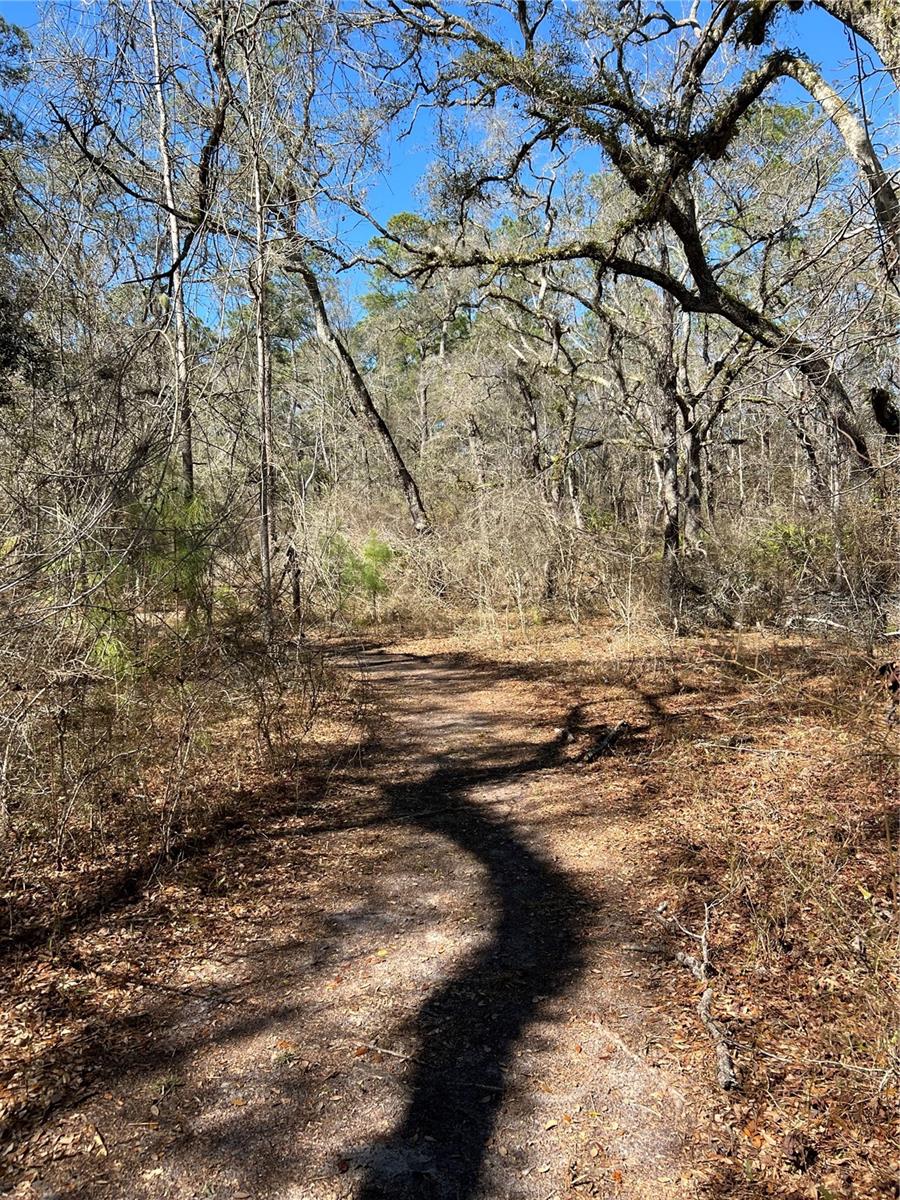 MAJESTIC SUWANNEE RIV OAKS - Land