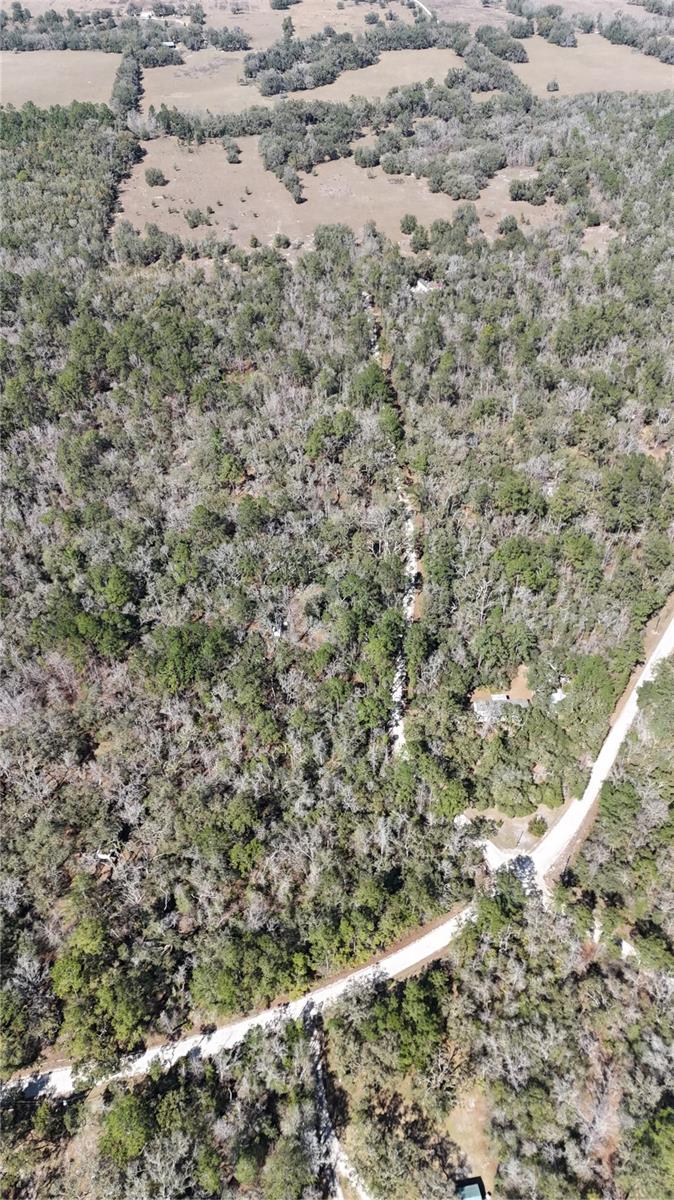 MAJESTIC SUWANNEE RIV OAKS - Land