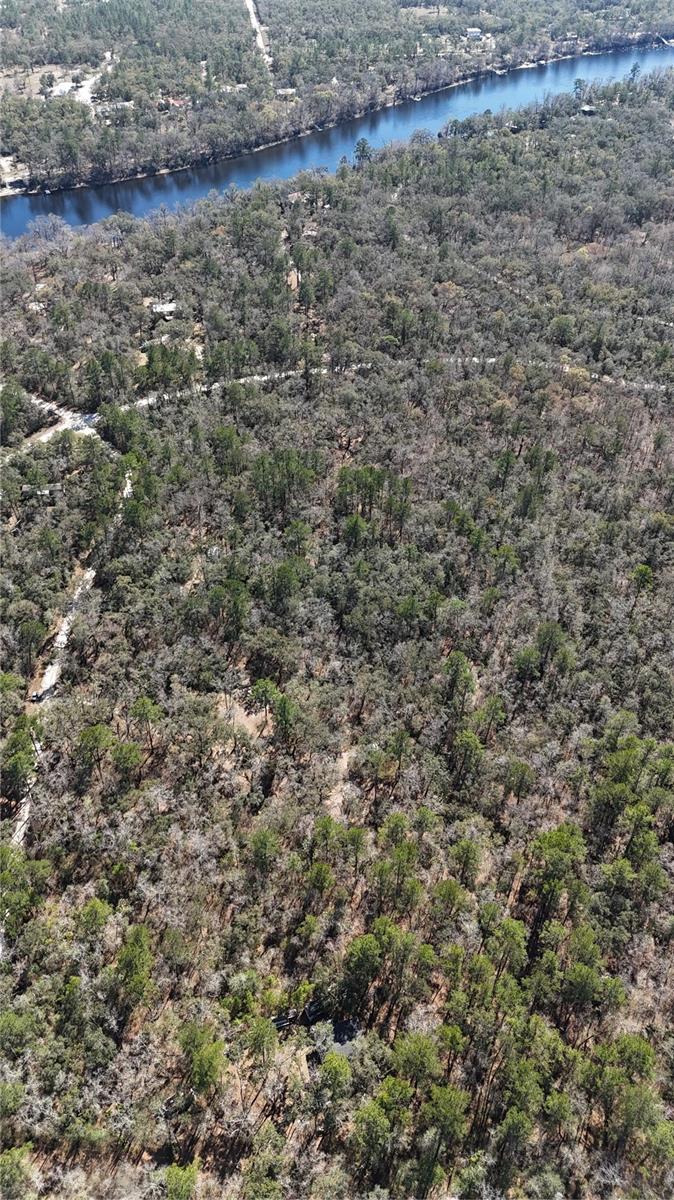 MAJESTIC SUWANNEE RIV OAKS - Land