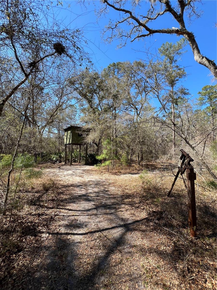MAJESTIC SUWANNEE RIV OAKS - Land