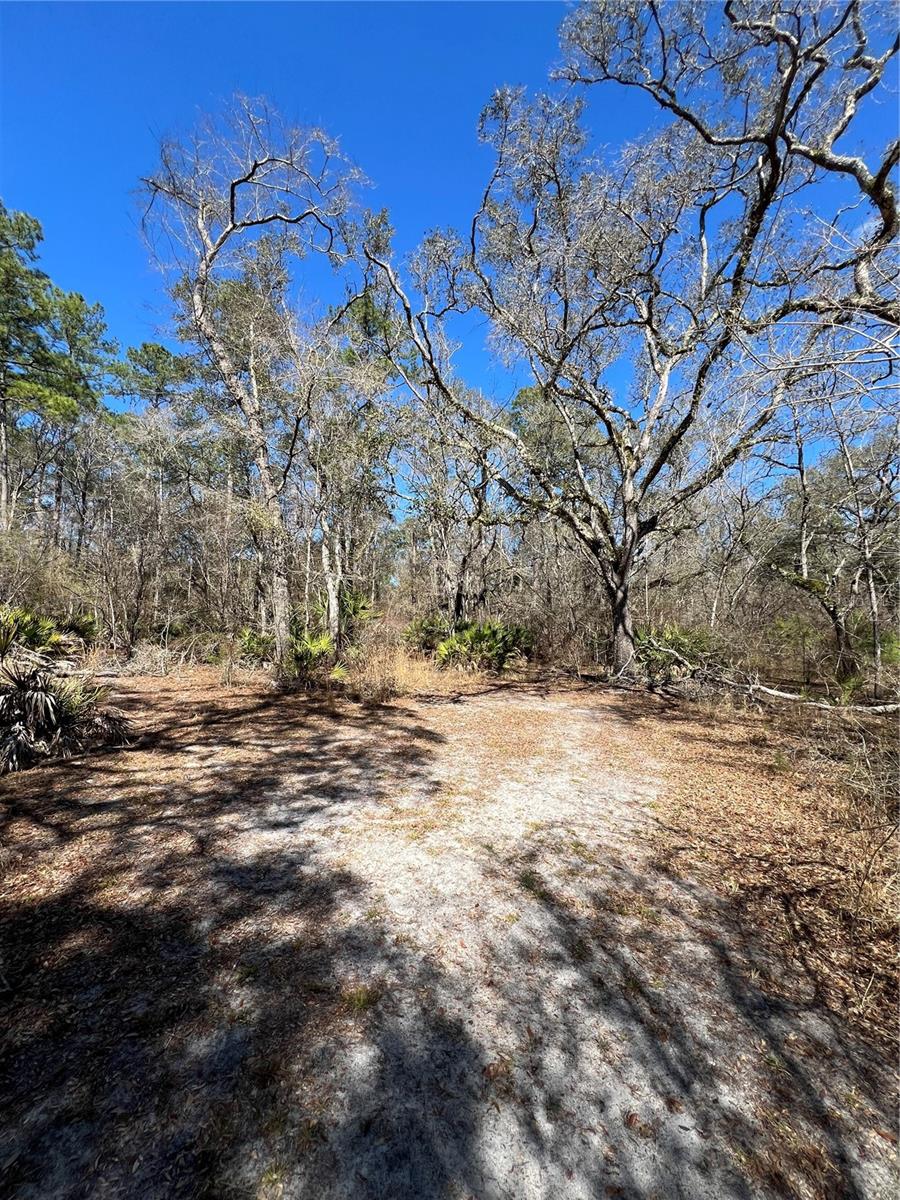 MAJESTIC SUWANNEE RIV OAKS - Land