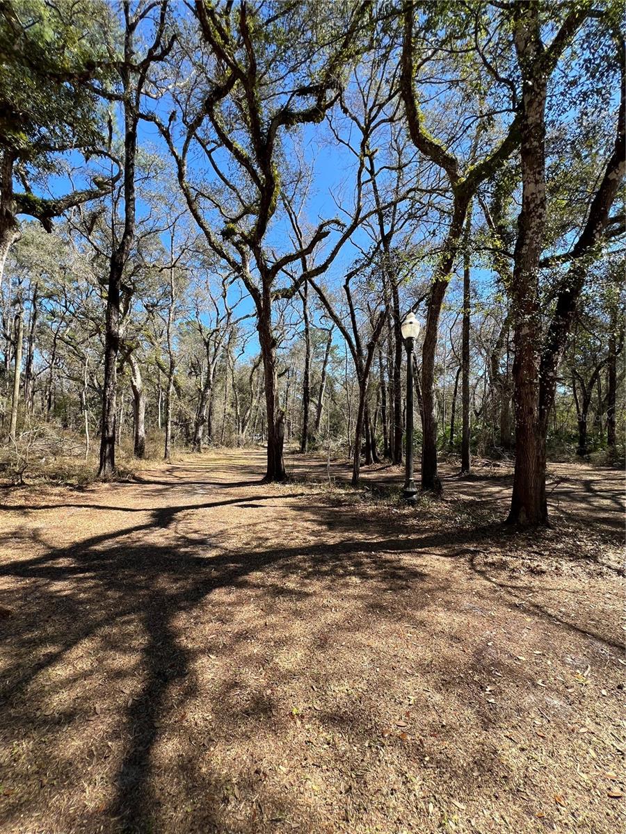 MAJESTIC SUWANNEE RIV OAKS - Land